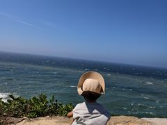 -枸杞岛