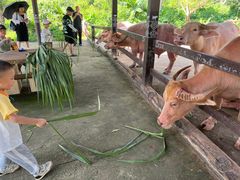 -海南热带野生动植物园