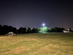 -羊山湖公园