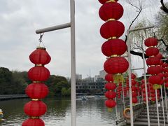 -红梅公园