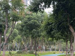 -后襄河公园