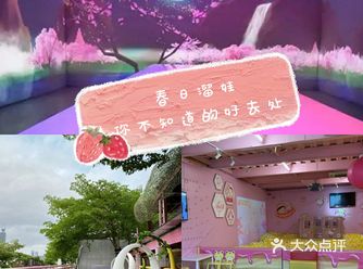 深圳春日遛娃神仙儿童乐园