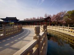 -百脉泉景区