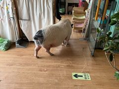 -小时光咖啡馆(开森度假森林店)