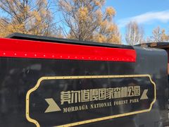 -莫尔道嘎国家森林公园