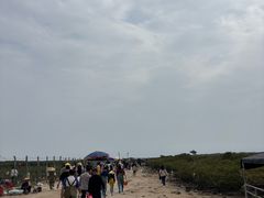 -北海金海湾红树林生态旅游区