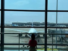 -虹桥机场国航贵宾室v8