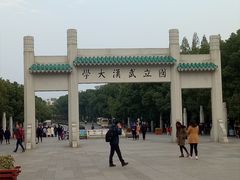 -武汉大学-樱园
