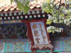 -故宫博物院(故宫)
