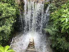 -深圳仙湖植物园