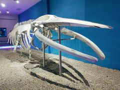 -福州罗源湾海洋世界旅游区