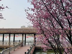 -枫香湖儿童公园
