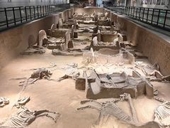 -洛阳周王城天子驾六博物馆