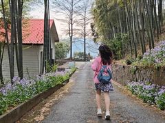 -莫干山风景区
