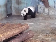-海南热带野生动植物园