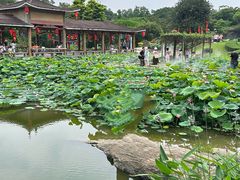 -广州莲花山旅游区