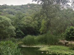 -白水寺森林公园