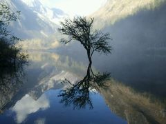 android_upload_pic-毕棚沟景区