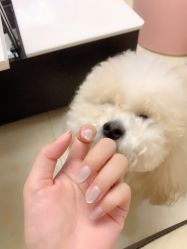 -U3美甲
