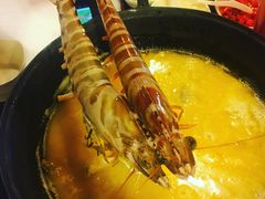 -鲜入围煮花胶鸡海鲜火锅