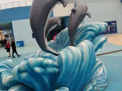 -芜湖新华联大白鲸海洋公园