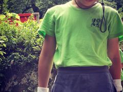 -素山寺森林公园