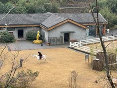 -宁海安岚·南溪阁全日餐厅
