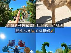 -哈尔滨波塞冬海底世界