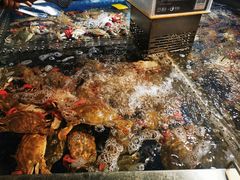 -盒马鲜生(莱蒙都会店)