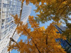 -中央广播电视总台(光华路办公区)