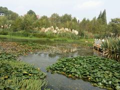 -贵阳市花溪国家城市湿地公园