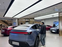 -TESLA 特斯拉(郑州正弘城体验店)