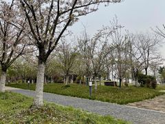 -苏州东太湖生态园