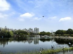 -新江湾城公园