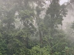 -凤栖山