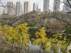 -重庆彩云湖湿地公园