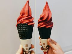 冰山杨梅脆筒-喜茶(深圳喜荟城店)