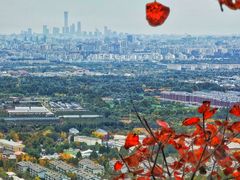 -北京西山国家森林公园