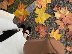 -Supine Bistro溯泮餐厅