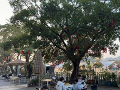 -长洲岛都市农业公园