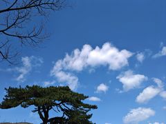 -妙峰山风景名胜区