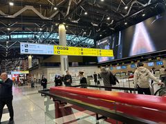 -谢列梅捷沃国际机场