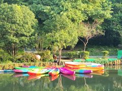 -新江湾城公园