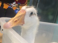 -雨林宠物医院 非犬猫异宠专科