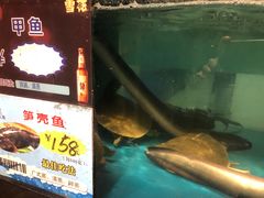 -至尊鲨鱼·原烹海鲜·新浙菜(拱宸桥店)