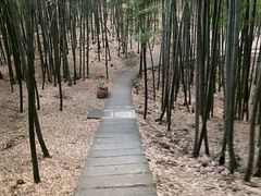 -藏龙百瀑风景区