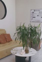 -吉艺心专业美发造型