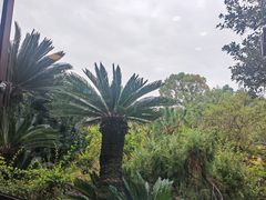 -万景茶庄·台州菜