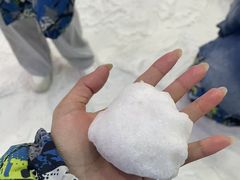-世界之窗阿尔卑斯冰雪世界