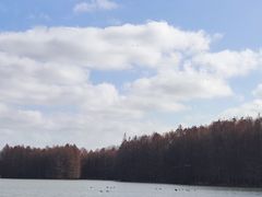 -上海海湾国家森林公园